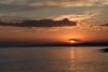 DSC_8447.thumb.JPG.21cf3fe81c317567b8f2cf43f4cbb9f3.JPG