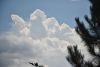 DSC_8477.thumb.JPG.5a9eb61ac963c9ce09b8168b5ebe68e9.JPG