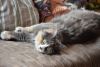 DSC_8491.thumb.JPG.208adae25fd36d8c837199ae49375a0f.JPG