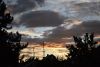 DSC_8493.thumb.JPG.902a550f166b772d0ef03e26408dedc0.JPG