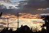DSC_8494.thumb.JPG.febd2eaf3d8883c79f8f6e7f8f1477c5.JPG