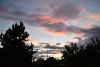 DSC_8498.thumb.JPG.3711611b2c82f315ac580dca4a307dad.JPG