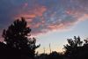 DSC_8513.thumb.JPG.9673bbefbe17e86070ed7ff6f82f294f.JPG