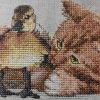 F8CDFEB5-ED8C-49C4-B932-A69E8C580B79.jpeg
