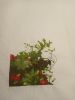 IMG-20220605-WA0000.jpg
