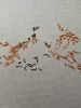 IMG-20220605-WA0006.thumb.jpg.00118a4d9eeec1f1a202b44e0031250d.jpg