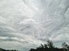 IMG-20220607-WA0015.thumb.jpg.5c0ed7612d99e8858e20baa5a4f898e5.jpg