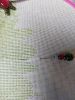 IMG20220620144518.thumb.jpg.79546545eacc36edd7038de3dcdc0849.jpg