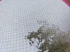 IMG20220623100227.thumb.jpg.b61f294db62c7007fec0b40f9acb1783.jpg