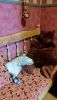 IMG_20220508_134219.thumb.jpg.8dfbf4688640c5cd34ebce3b4089e36f.jpg