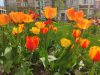 IMG_20220512_094716.thumb.jpg.700396b4dc54897305040e5f98b3b170.jpg
