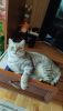 IMG_20220512_133352.thumb.jpeg.ac7f42cce929eaab6e72f4db53f19392.jpeg