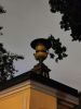 IMG_20220525_225037.thumb.jpg.c71efd5d606cf1a7f180901ef264f885.jpg