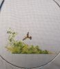 IMG_20220527_132410.thumb.jpg.9f70c8577b85f434739cbd993a0aa2ba.jpg