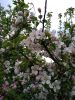 IMG_20220531_185403.thumb.jpg.ecd4f9cd18e26c0d7388339c1ed20622.jpg