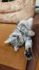 IMG_20220602_140048.thumb.jpg.cbd99a223609f5cebf2e33c06e5a7bde.jpg