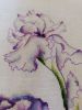 IMG_20220602_145321.thumb.jpg.8cf7b5bd985e332d146368a708703b38.jpg