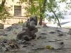 IMG_20220605_115131.thumb.jpg.808c9ed64d0dd2dcb586b92e01364d97.jpg