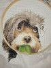 IMG_20220606_214257.thumb.jpg.3f109f974a912f301288d31e8e6f71d1.jpg?1654541195079