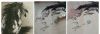 IMG_20220607_073256.thumb.jpg.084b569393811a3e27d36cc573e79da8.jpg