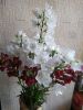 IMG_20220612_125614.thumb.jpg.7ee84bd51748dd1900a2ba1f6489b876.jpg