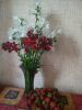 IMG_20220612_131923.thumb.jpg.7ff456bc206da9edd741b9871bb34ffd.jpg