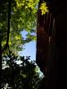 IMG_20220612_184931.thumb.jpg.353efd3ca1aadcef9a95c0dcd5a37afb.jpg