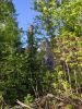 IMG_20220612_185810.thumb.jpg.d088ac4f9497581f0cb52f0811c0d810.jpg