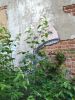 IMG_20220612_192252.thumb.jpg.cb090d7e1b7d39d84057e44b90b6d3cf.jpg