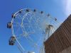 IMG_20220613_145437.thumb.jpg.21b6b9de39aff371f88e1d8691dc9639.jpg