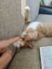 IMG_20220613_190110.thumb.jpg.845da2cc20ff344c6f2bac8a37966f99.jpg