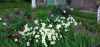 IMG_20220614_195646.thumb.jpg.f4511ecad32deb8b0fa02d327ecd3957.jpg