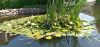 IMG_20220618_120224.thumb.jpg.7abb4fc06d0f3b05c26feb3739a80186.jpg