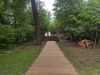 IMG_20220618_152859.thumb.jpg.791cb7debd5ed2941e50aa0cb5ff9658.jpg