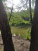 IMG_20220618_172516.thumb.jpg.3d5acccfe010d4454011dabd91ab10c0.jpg