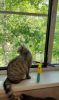 IMG_20220620_115343.thumb.jpeg.8adb2ec6c33ef859b59c60bb501e9120.jpeg