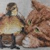 IMG_20220620_230652.thumb.jpg.64cc419ee8358fa1b052e02c28426b78.jpg