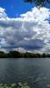 IMG_20220623_133610.thumb.jpg.24c4fc8b54f0aeaaacdb0bd8ecbff821.jpg