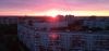 IMG_20220623_210948.thumb.jpg.d8c04419ddbe38f65037cf3fb6c473ad.jpg