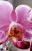 IMG_20220624_185819.thumb.jpg.b1f738dbc0f20298bbb7b56ec0ab6b70.jpg