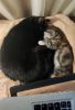 IMG_20220625_194326.thumb.jpg.f978fea6fd4bf95aa0d4506a37835059.jpg