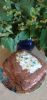 IMG_20220626_071450.thumb.jpg.18cf4911e0e4c07abe7df4b9354d1359.jpg