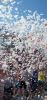 IMG_20220626_170659.thumb.jpg.896d9d288c9b4fb63af2f60f80c110b4.jpg