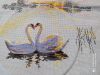 IMG_20220627_172700_compress42.thumb.jpg.dc59a9c05f98d1b109074b4b9d68eec1.jpg