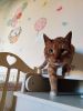 IMG_20220628_110132.thumb.jpg.cad873d03f253e71c036b51db5c3a3bb.jpg