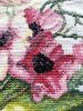 IMG_20220629_073030.thumb.jpg.4ea3e8cc2a53b358549437681209c35b.jpg