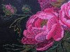 peonies_10.thumb.jpg.fccf2bc539481f50947b6a6520ef0c12.jpg?1655117942921