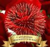 salyut-i-rozy_gif_thumbnail.thumb.jpeg.4011a8ded8609ab85697875ea8b3c99f.jpeg