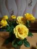yXQjB9jVQiQ.thumb.jpg.11177f6538eb3116bc98bfa3e2721694.jpg