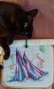 05A2391A-96FD-47DA-A22B-D28AA0BD3B17.thumb.jpeg.34d64a52d0a09478ef013261260f8848.jpeg